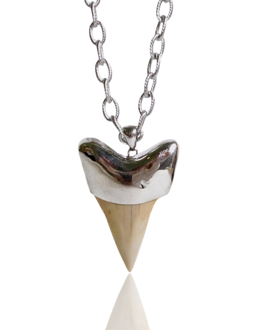 NEW Men’s Sterling Silver Shark’s Tooth Pendant