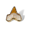 Shark Tooth Ring
